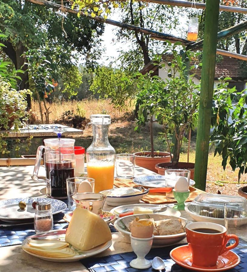 Da Pino Guest House มอนเตเมราโน ภายนอก รูปภาพ